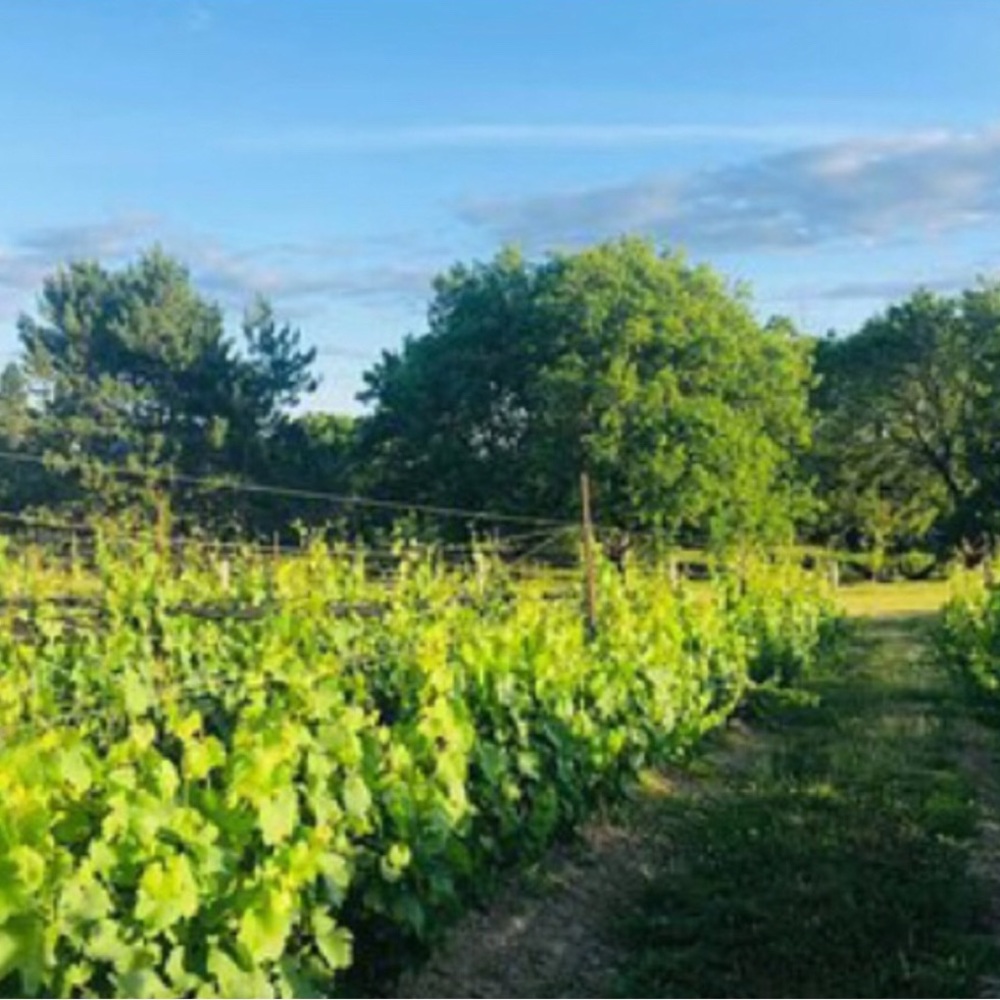 Duplicate  Not for sale